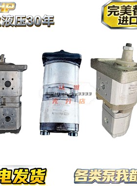 REXROTH力士乐双联齿轮油泵1518222951 0510765068 R9026507 69