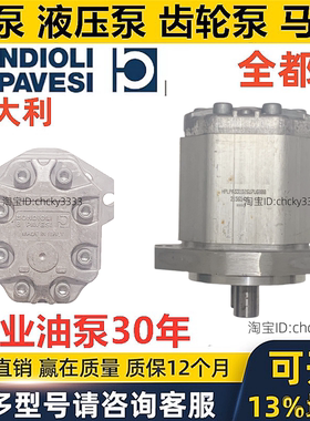 BONDIOLI齿轮泵HPLPA341 SW4G7G6B00 HPLPA351 HPLPA373 风扇马达