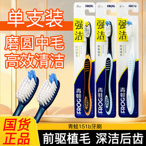 青蛙151b强洁牙刷中毛手动成人男士专用清洁牙齿独立包装正品