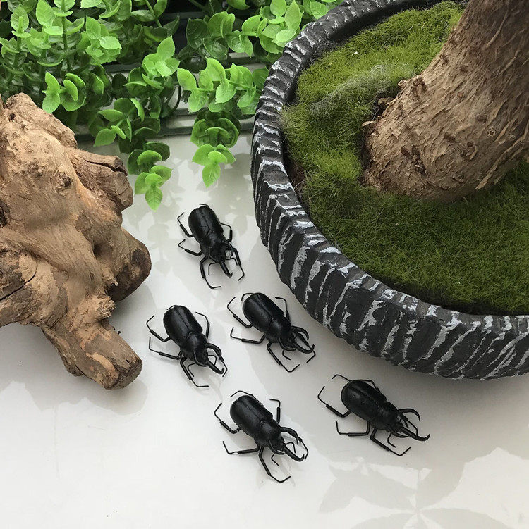 simulation animal insect Model Trigeminal children Early education cognition appliance magnetic Refrigerator sticker environmental protection Soil texture of materialin the Toy/Childs/Puzzle/Building block/Model , Simulation/Play house toys , Simulation/Animal dolls  category - from Buy2taobao.com to provide professional Taobao agent buy service