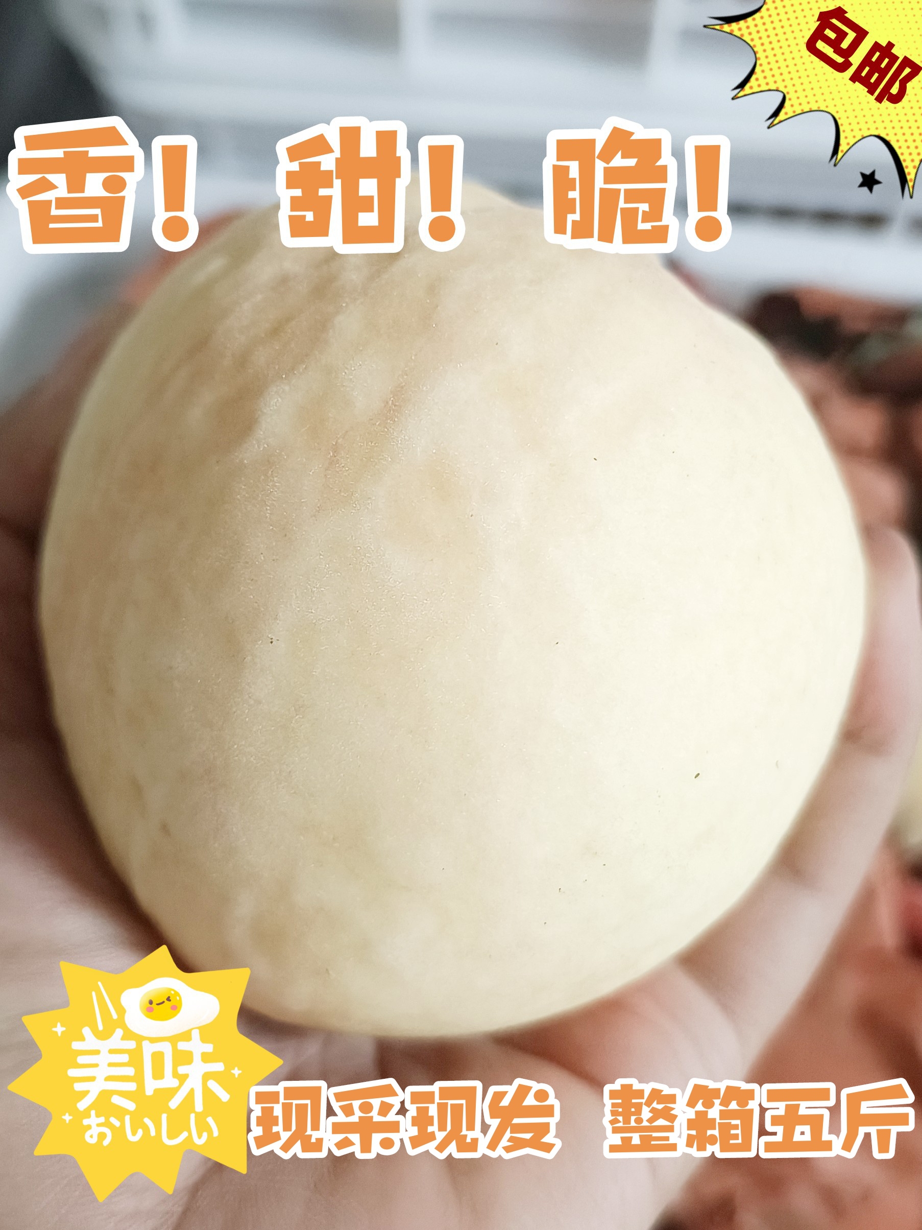 原鹿果园现采摘现直发甜脆多汁原鹿白玉桃香甜水果白鲜桃包邮