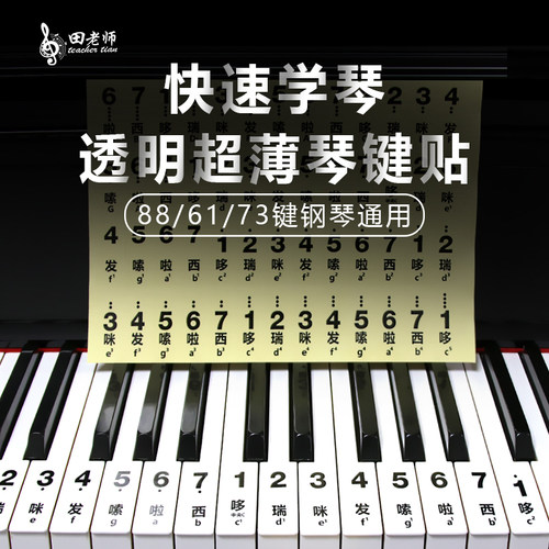 田老师88键61键键盘简谱白键贴