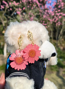 雏菊真花手作私人定制