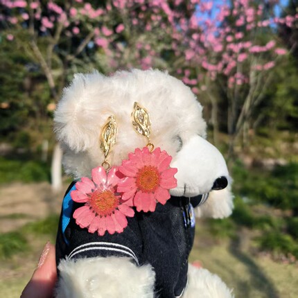 采薇 雏菊 少女清新耳饰 真花手作可爱配饰 耳夹耳钩  备注色号