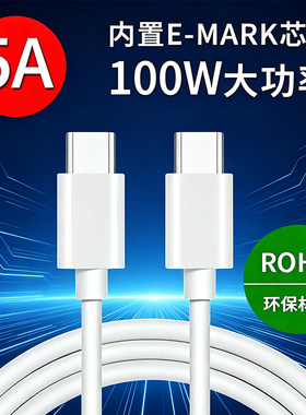 100WPD双Type-C快充数据线CtoC