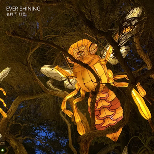 名样新年2025年昆虫灯展灯会蛇年节日造型花灯厂家定制