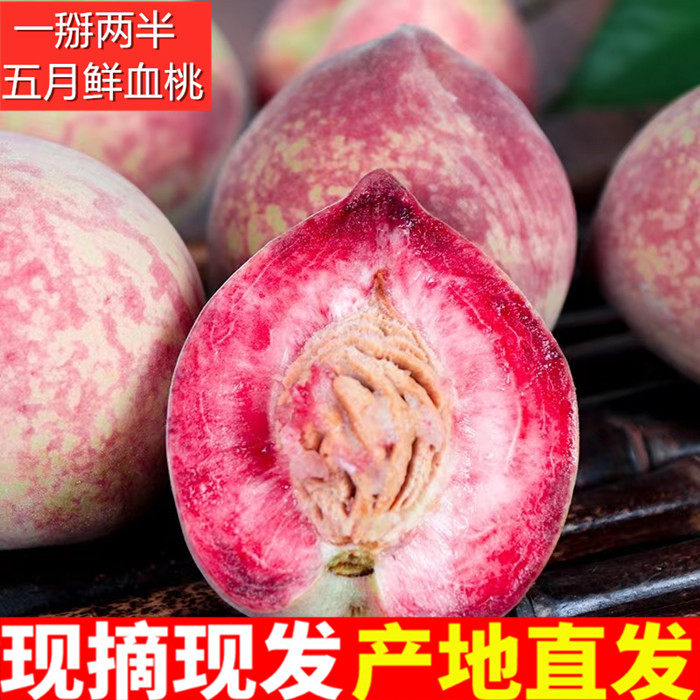 血桃桃子新鲜水果毛桃脆甜胭脂朱砂红肉蜜桃应季当正宗红心五月仙