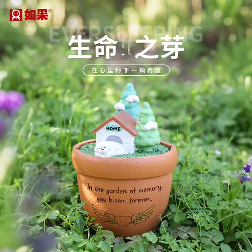 生命之芽骨灰盒去世纪念盒猫咪回归喵星小狗回归旺星怀念保护盒