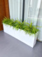 饰摆放 彷真蕨草植物草丛北欧花箱花槽隔断造景办公户外商业装
