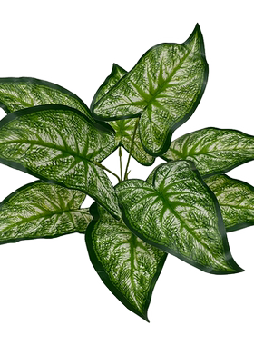 wo+叶子花箱单支装饰仿真植物