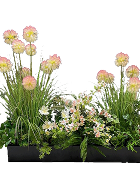 wo+仿真蒲公英绣球芦苇绿植盆景