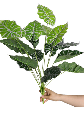 wo+高档手感绿植花箱橱窗用花