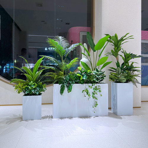 wo+仿真天堂鸟高植物花箱景观