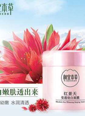 红景天幼白面膜补水保湿滋润清爽不油腻