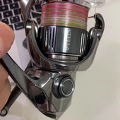 2022款 斯泰拉贴膜透明保护膜STELLA透明贴膜改色镭射贴膜