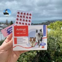 New Zealand local agent purchase Antinol Plus Anshide Cat Cat Enhanced Edition EAB-277 Joint chondroitin thumbnail 6