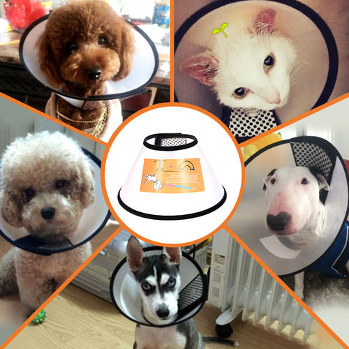 宠物伊丽莎白圈猫狗皮肤病保护套犬猫防抓挠脖圈防咬防舔圈耻辱罩 - 封面