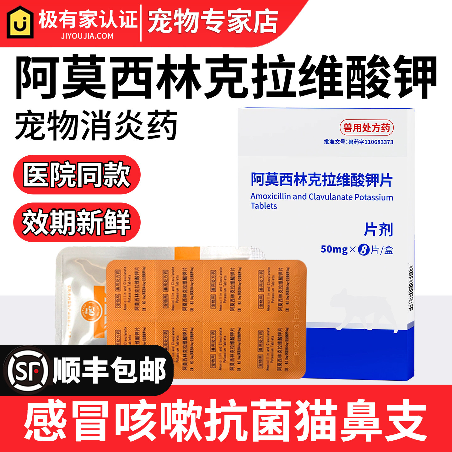 中农爱宠宠物猫狗消炎药阿莫西林图片