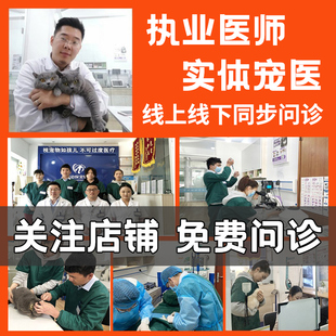 宠物医生兽医在线咨询犬猫狗狗生病问诊执业兽医师猫狗皮肤病咨询