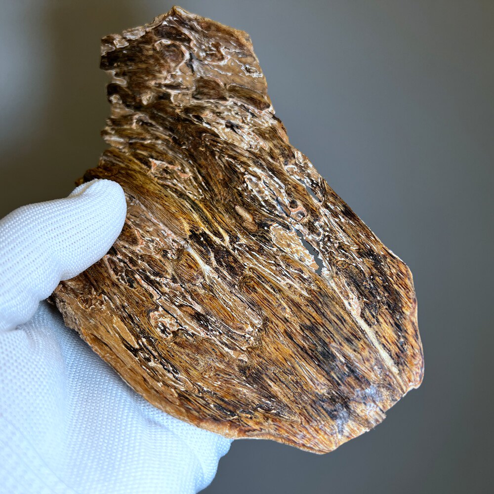 已结缘野外结香海南虎斑纹绿奇楠原料大料整块香料绿棋楠沉香厚肉