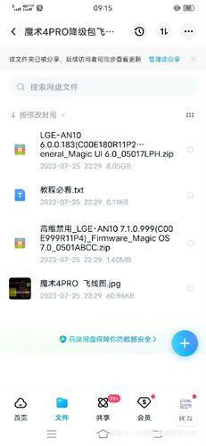 魔术4ORO降级包 RST飞线图