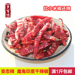 包邮超辣 印度魔鬼辣椒 特辣干辣椒可磨辣椒粉面切辣椒段250克