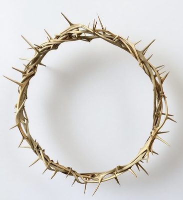 跨境犹太教受难日福音荆棘王冠冕Christian natural thorn crown