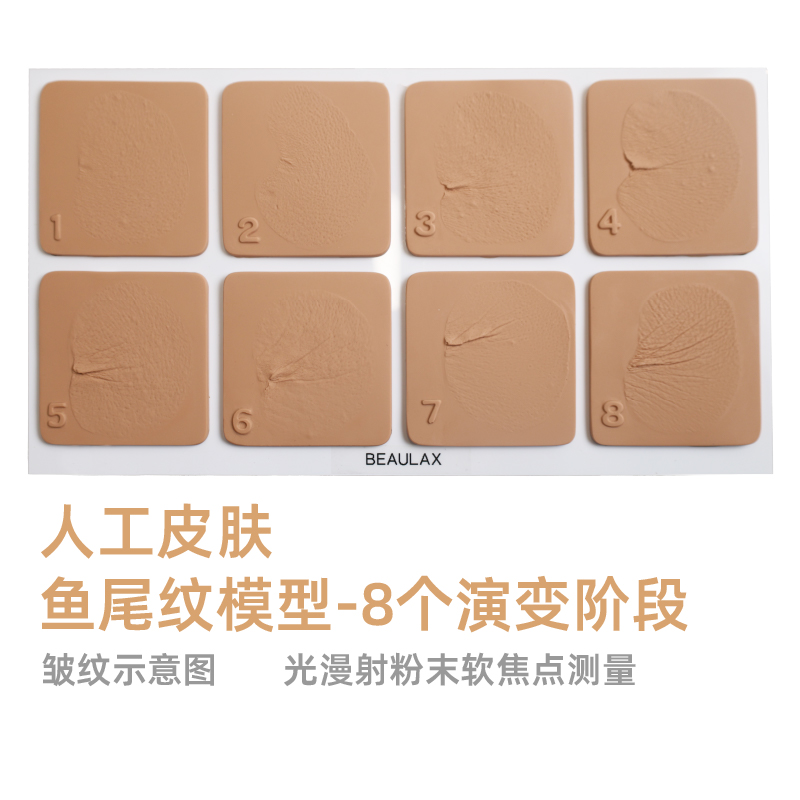 Bioskin鱼尾纹模型8个演变阶段