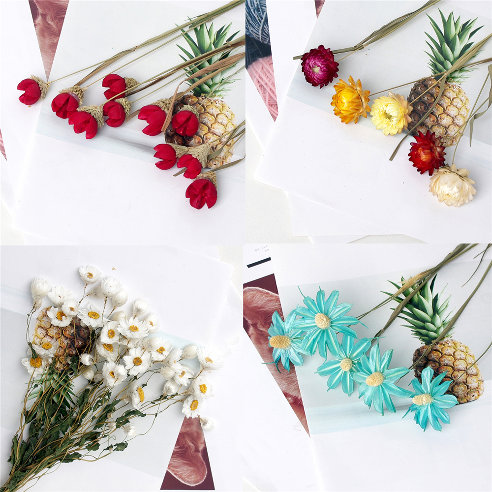 小雏菊鲁丹鸟办公insdiy干花真花