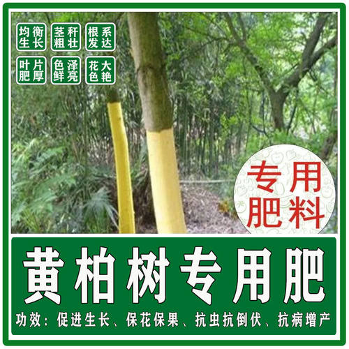 黄柏树专用肥料有机复合底肥追肥叶面肥冲施肥水溶肥粗壮促生长