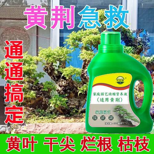 黄荆营养液预防黄叶烂根促生长生根家用盆栽园艺绿植液体肥料