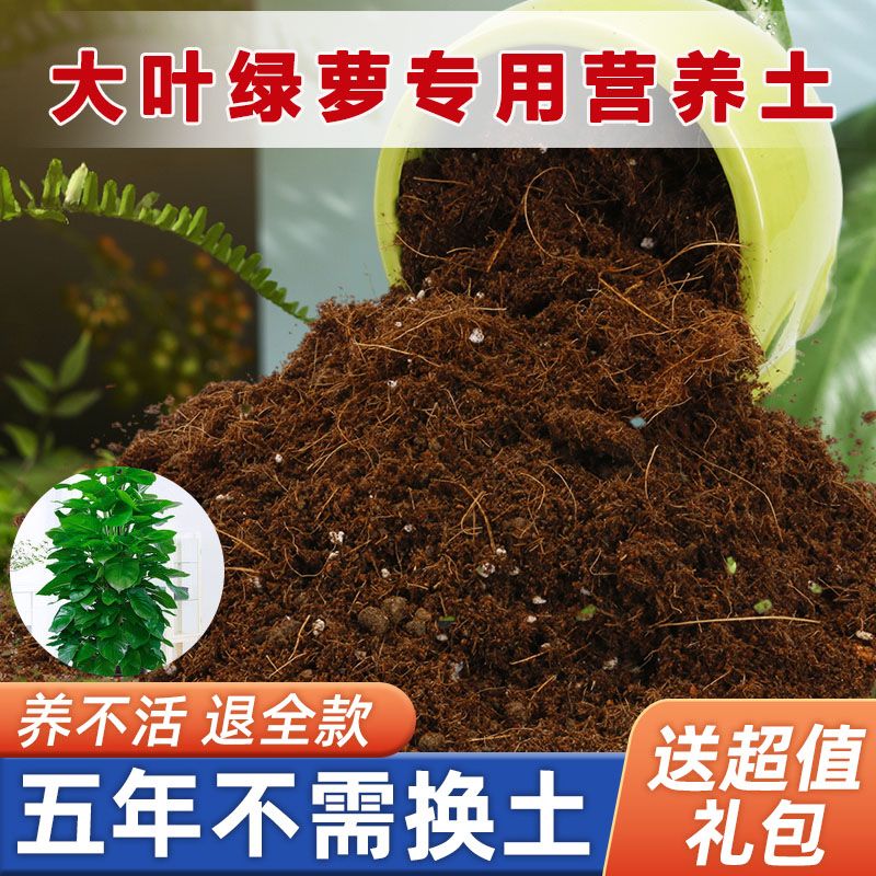 大叶绿萝专用土家用盆栽营养土疏松透气酸性沙质土壤绿植种植土图片