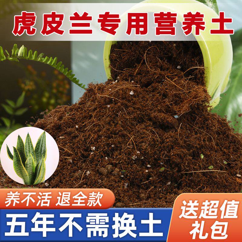 虎皮兰专用营养土家用盆栽土疏松透气酸性沙质土壤绿植园艺种植土