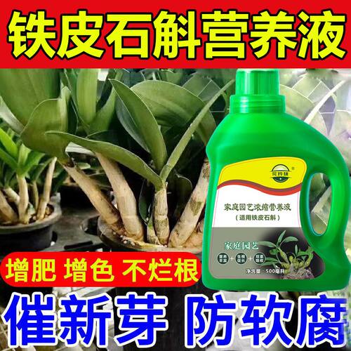 铁皮石斛营养液预防黄叶烂根促生根生长家庭绿植盆栽促花液体肥
