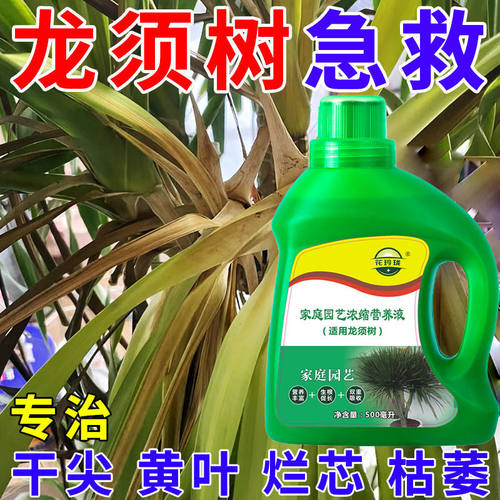 龙须树营养液预防叶子发黄掉叶防烂根促长生根家用盆栽绿植液体肥