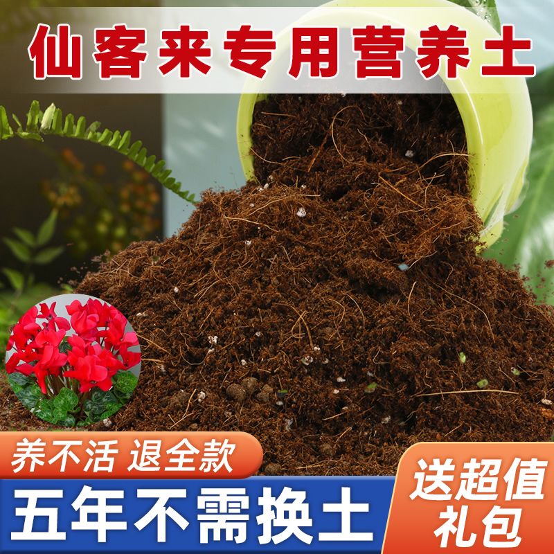 仙客来专用土家用盆栽营养土疏松透气酸性沙质土壤花卉园艺种植土图片