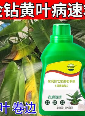 金钻营养液预防叶子发黄掉叶落叶烂根促长生根家用盆栽绿植液体肥