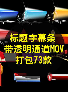 晚会节目标题人条名字报幕条EDIUS PR剪映ED会声会影动态FCPX通道