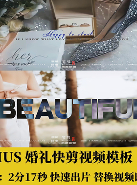 EDIUS动感婚礼视频快剪模板ED婚庆片头花絮预告转场调色素材MV