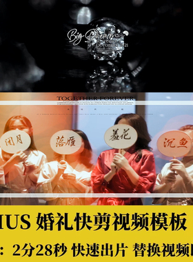 EDIUS婚礼快剪模板ED婚庆花絮视频录像片头转场插件预告调色素材
