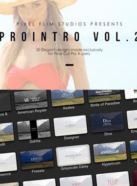 final cut pro x插件30种时尚简约文字fcpx标题动画ProIntro 2