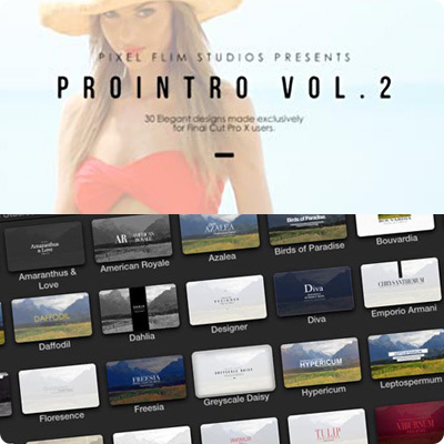 final cut pro x插件30种时尚简约文字fcpx标题动画ProIntro 2