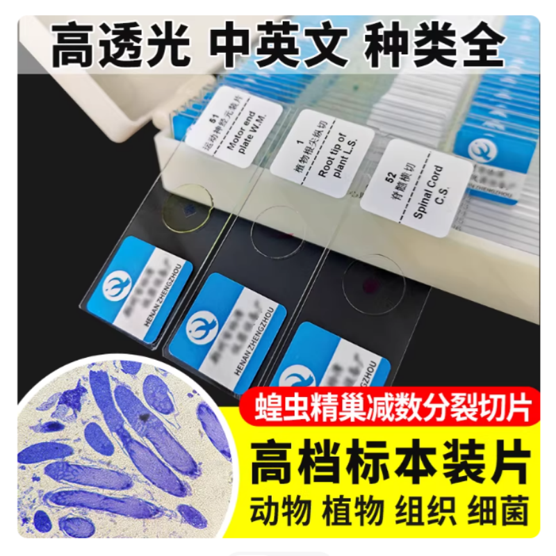 蝗虫精巢减数分裂切片生物永久装片涂片初高中玻片科学实验显微镜