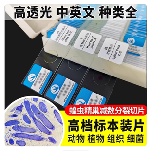 蝗虫精巢减数分裂切片生物永久装片涂片初高中玻片科学实验显微镜