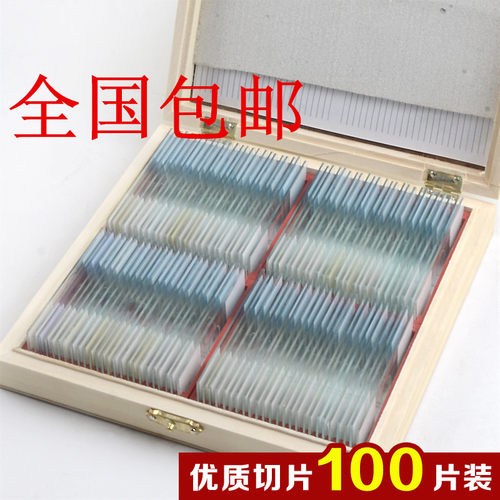 生物切片显微镜观察标本实验玻片永久装片细胞载玻片25/50 /100片