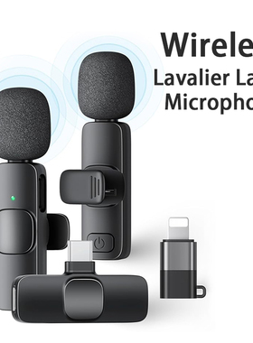 Mini Microphone Clip on Mic for Video Recording Interview