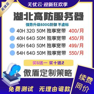高防物理机租用湖北十堰电信游戏服务器独享带宽传奇微端网站搭建