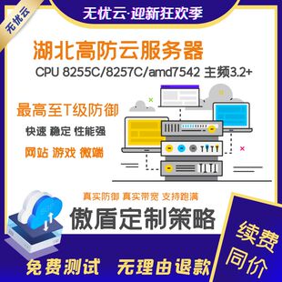 国内高防服务器湖北十堰云服务器秒解独享带宽网站游戏云主机魔方
