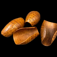 Универсальный лаковый стиль