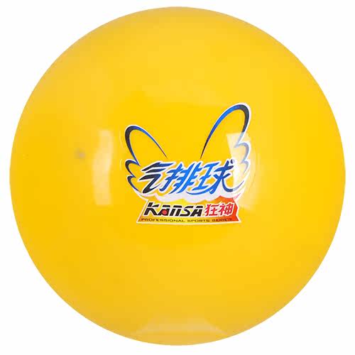 Ballon de volley-ball - Ref 2011557 Image 3